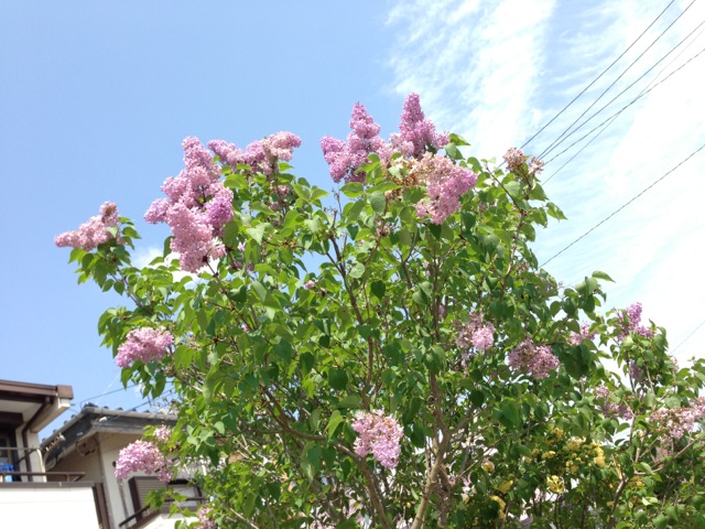 f0162908_2234742.jpg