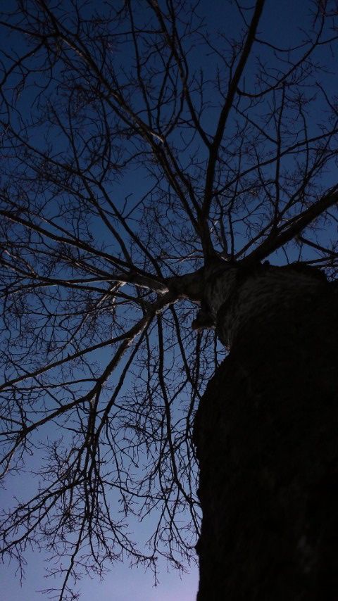 e0087511_1451538.jpg
