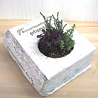 f0167611_1614225.jpg