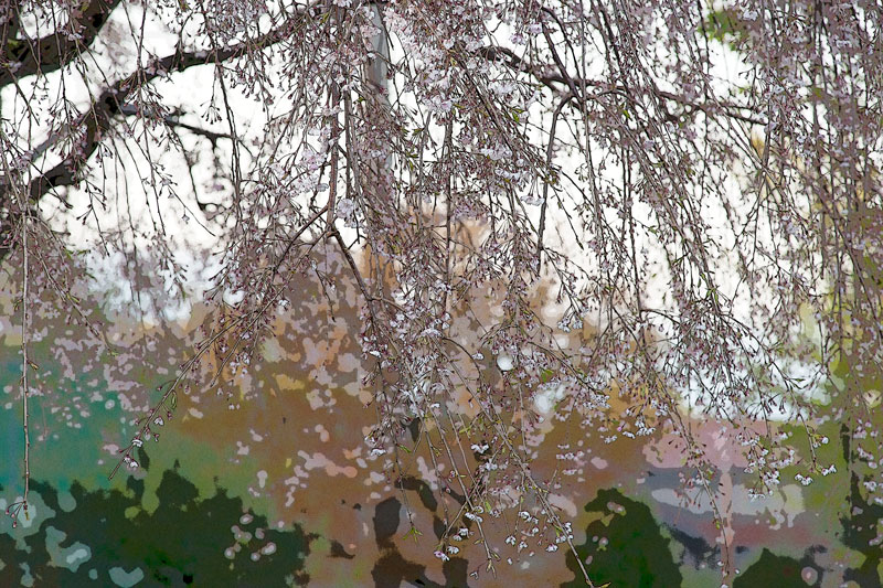 a0278914_5451053.jpg
