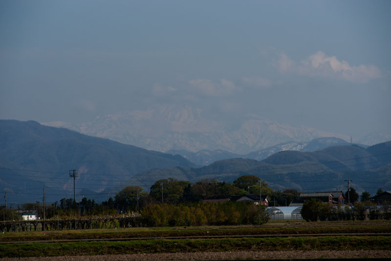 a0278914_5472080.jpg