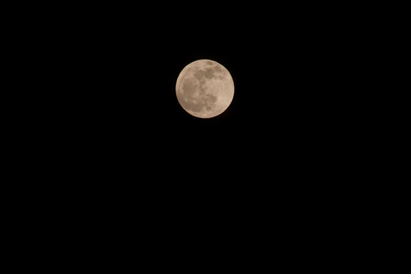 a0278914_548363.jpg