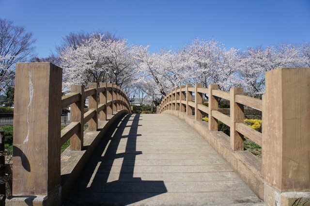f0143119_20102614.jpg