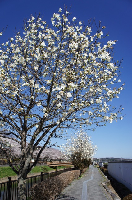 f0143119_2011916.jpg