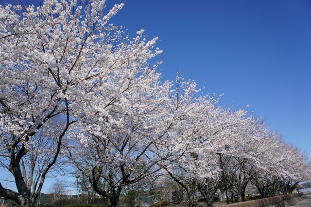 f0143119_2055128.jpg