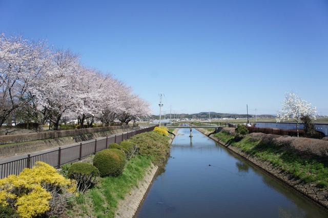 f0143119_2093323.jpg