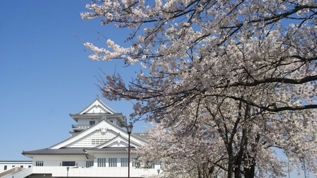 f0143119_2094944.jpg