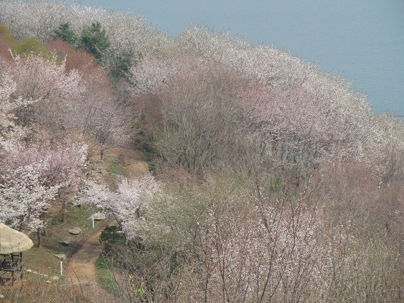 e0201021_21555553.jpg