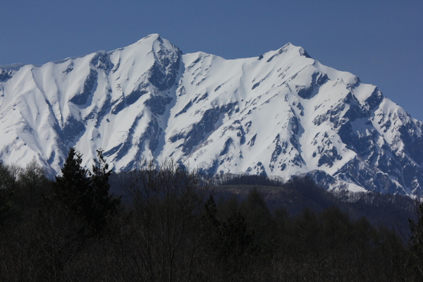e0242721_8295681.jpg
