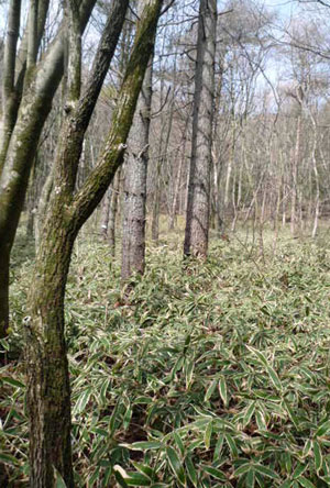 e0312121_2123850.jpg