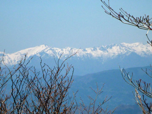 e0312121_21454240.jpg