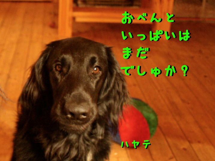 c0237824_949421.jpg
