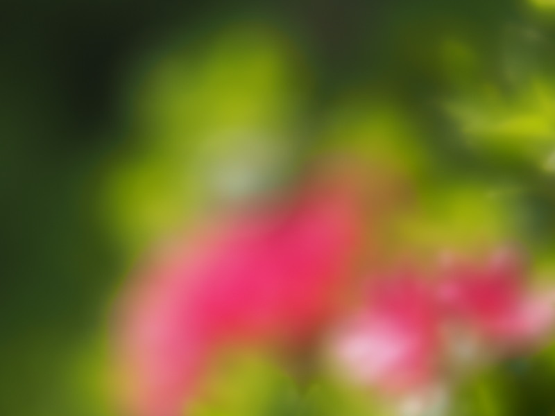c0109827_17383487.jpg