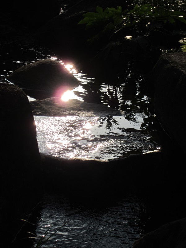 f0136828_2152425.jpg