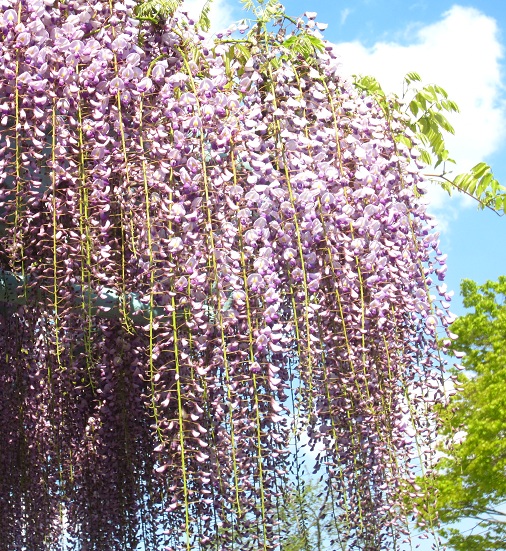 f0002833_19113643.jpg