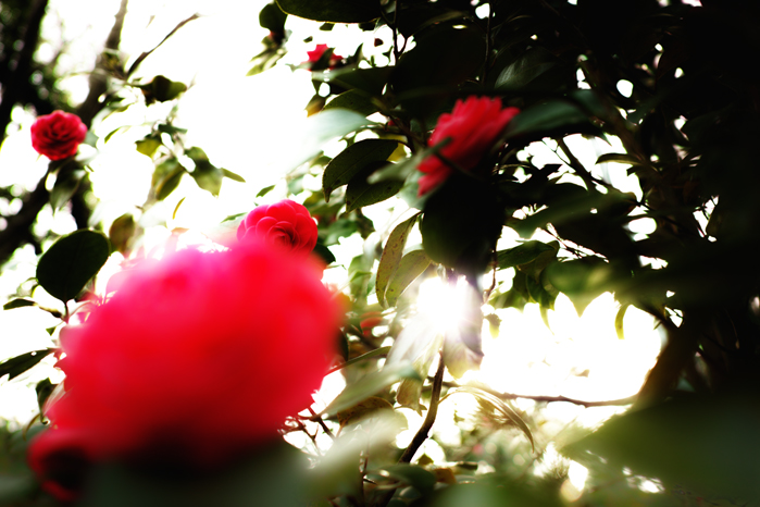 a0049639_20305541.jpg