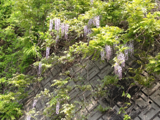 b0190640_22134366.png