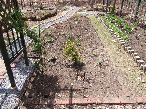 e0088260_10163482.jpg