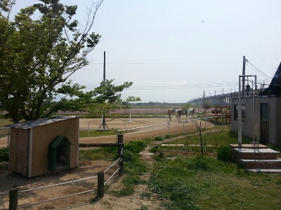 c0222471_8522347.jpg