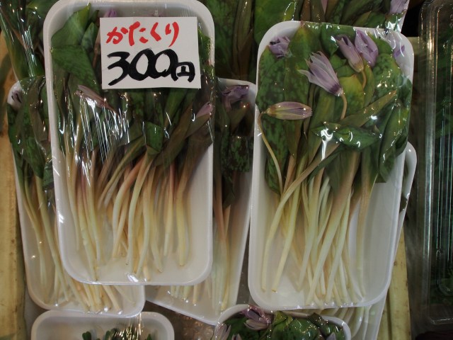 c0183777_10162773.jpg