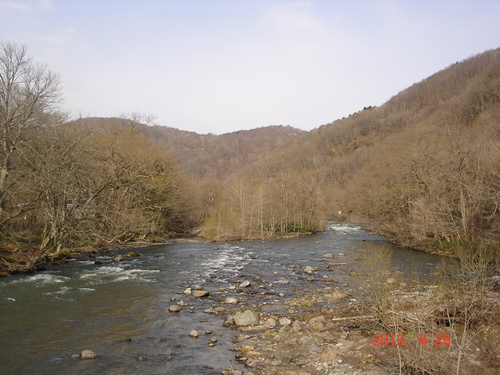 d0165378_1004482.jpg