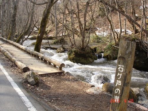 d0165378_1012397.jpg