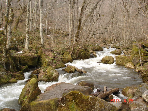 d0165378_102511.jpg
