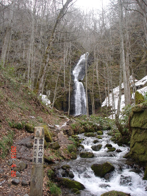 d0165378_1035693.jpg