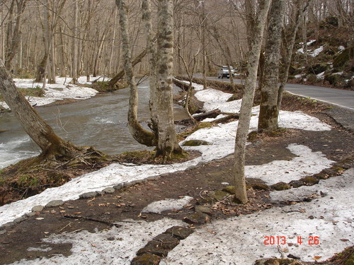 d0165378_1062921.jpg