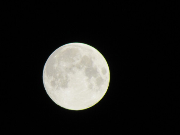 a0137279_223889.jpg
