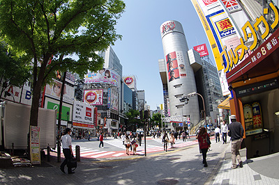 b0056983_16554118.jpg