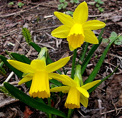 a0007388_11264797.jpg