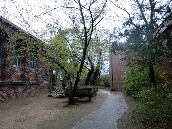 e0143690_1528783.jpg