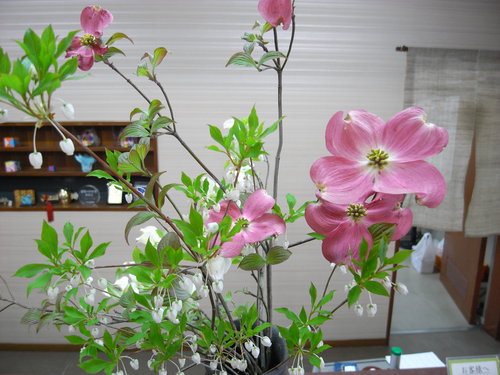 f0131491_14125022.jpg