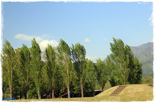 b0151893_18571565.jpg