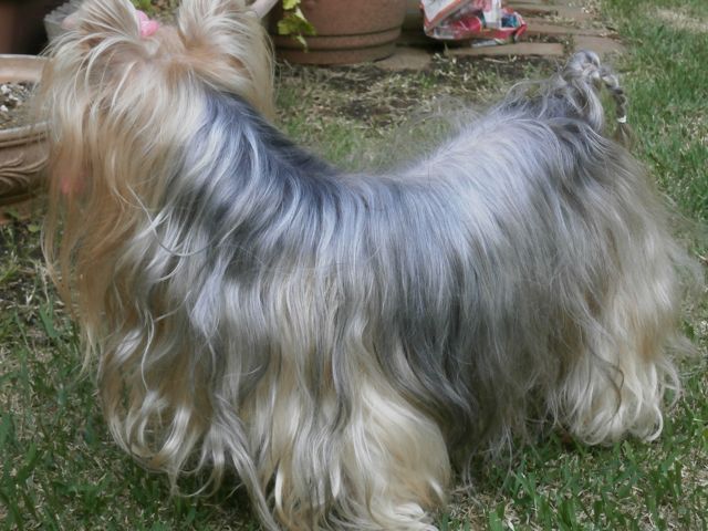 f0130894_22265924.jpg