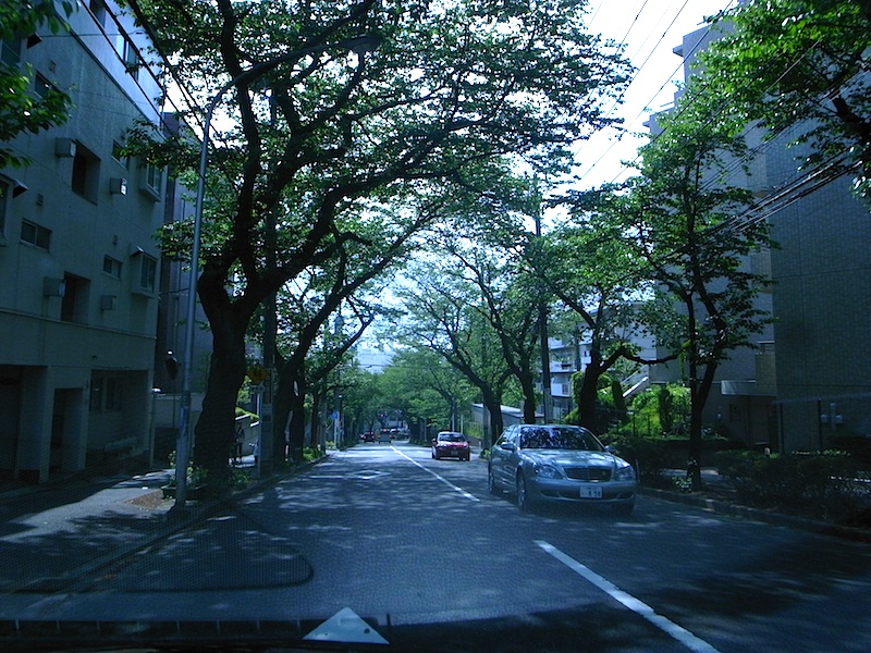 f0108399_0223471.jpg