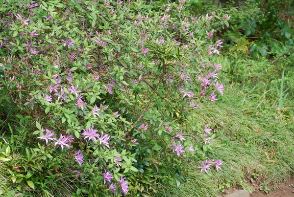 e0025300_13274230.jpg