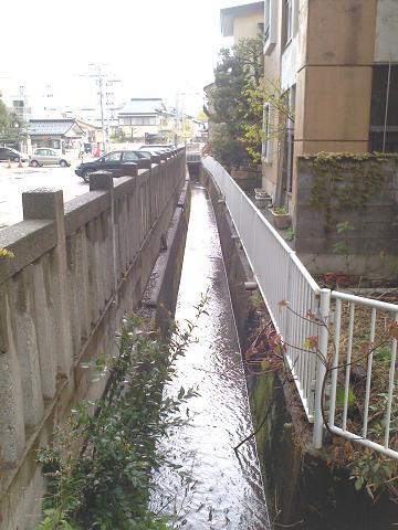 e0178600_2075793.jpg