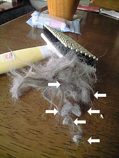 c0035001_15572484.jpg