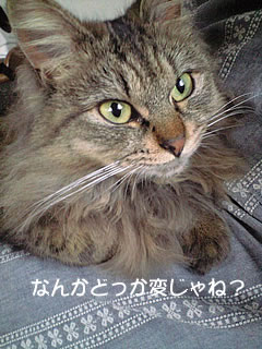 c0035001_15575676.jpg