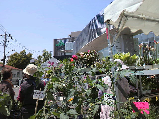 f0127408_2359552.jpg
