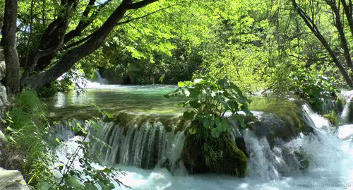 c0050810_10222910.gif