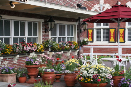 c0071221_1353684.jpg