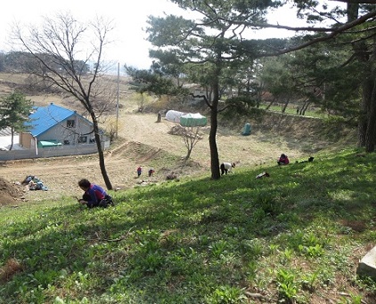 e0201021_21515920.jpg