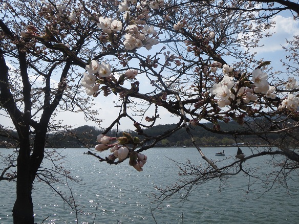 e0201021_22112923.jpg