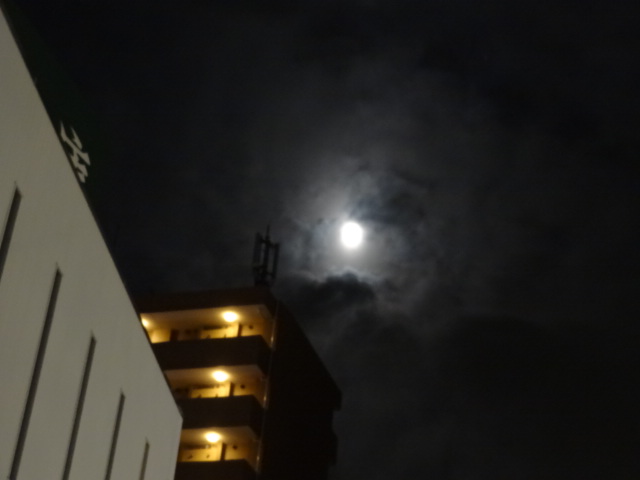 e0016828_11563140.jpg