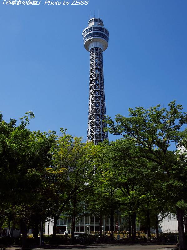 a0195032_22281146.jpg