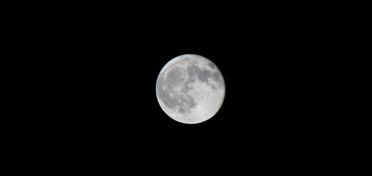 b0184636_8283588.jpg