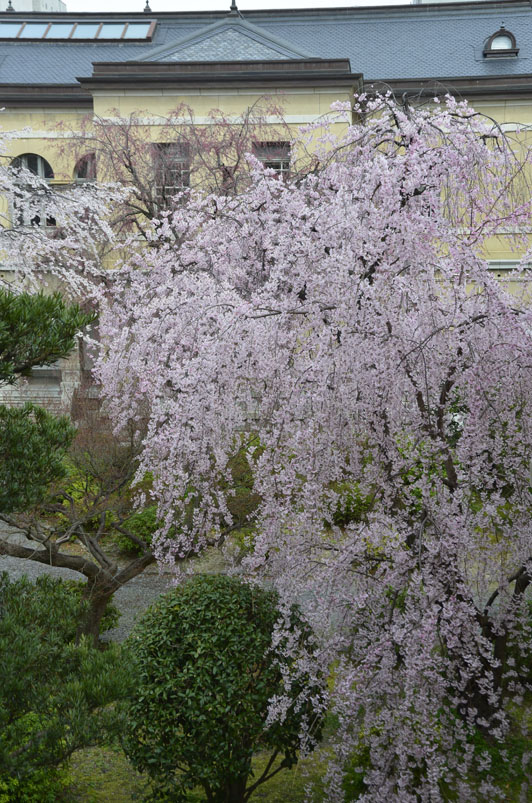 b0042837_055871.jpg